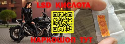 стаф Свободный