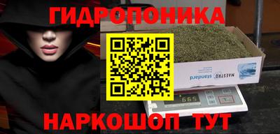 стаф Свободный