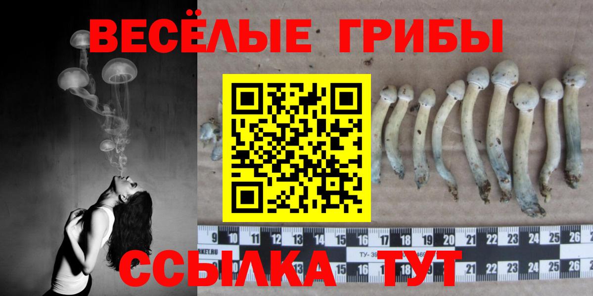 Галлюциногенные грибы MAGIC MUSHROOMS  купить наркоту  Нижневартовск  Вход с VPN 