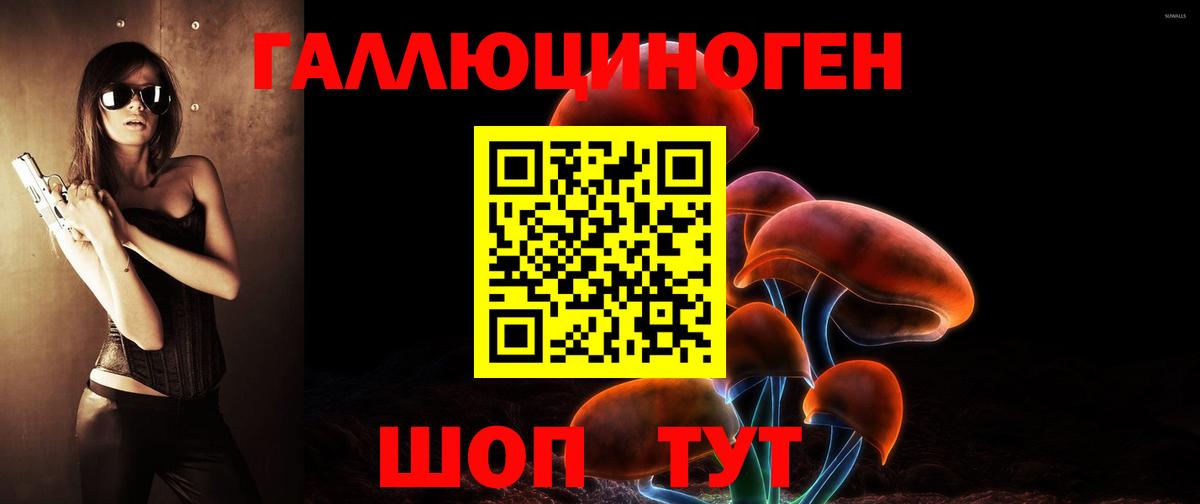 Псилоцибиновые грибы Psilocybe Нижневартовск